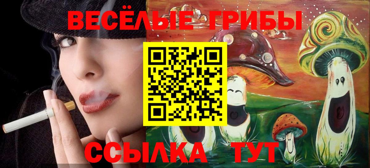 Галлюциногенные грибы GOLDEN TEACHER Горячий Ключ